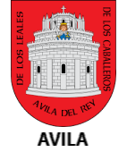 AVILA capital