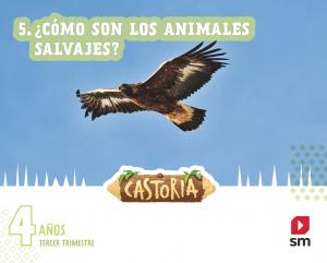4 AÑOS CASTORIA 3T