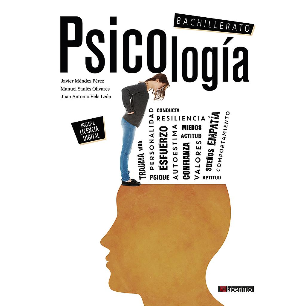 PSICOLOGIA 2ºBACH 23 FANFEST LABERINTO